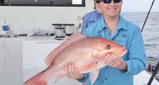 South Atlantic Red Snapper