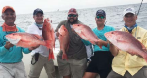 Red snapper fisheries