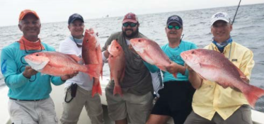 Red snapper fisheries