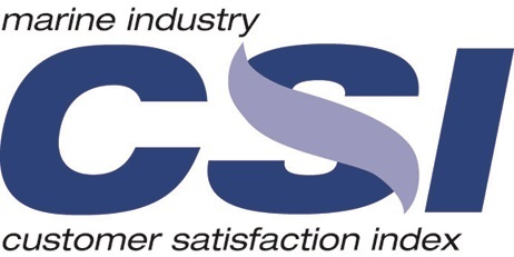 CSI Award logo