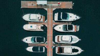 Docked boats