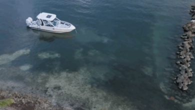 Chaparral boat