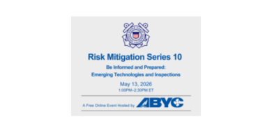 risk mitigation series