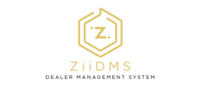ZiiDMS logo