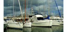 boats